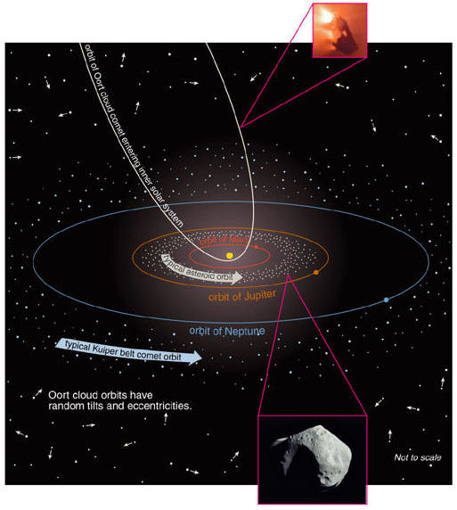 The Kuiper Belt