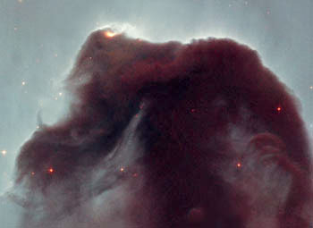 The Horse Head Nebula (NASA)